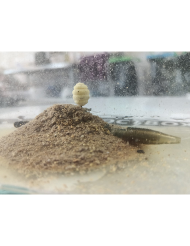 Osmo Mini Larwa Wafters Kraken OSMO INNOVATION BAITS - 3