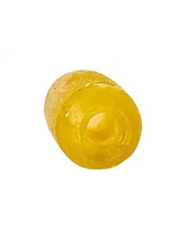 Stoper Traper Owalny GST Feeder TRAPER - 2