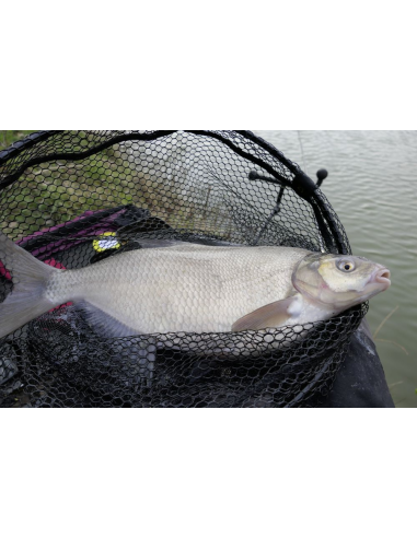 Kosz podbieraka Browning  LITEX C480 53x43cm BROWNING - 6