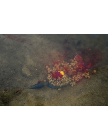 Podajnik Preston ICS In-Line Dura Flat Method – Small 20g PRESTON - 2