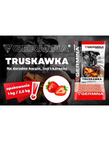 Zanęta Germina Truskawka 1kg GENLOG - 2