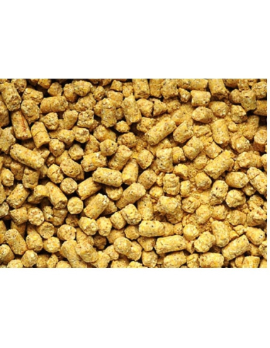 Pellet Baby Corn Feederland 8mm 800g