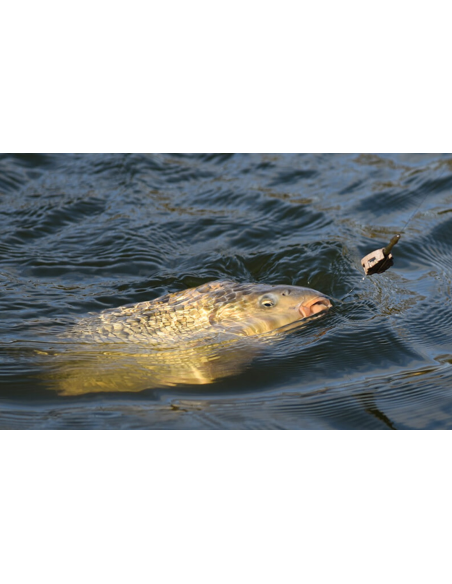 Podajnik CRESTA Easy Fill Small 15g CRESTA - 5