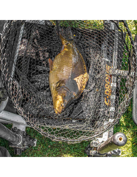 Preston Mata Karpiowa Do Odchaczania C-drome  - 4