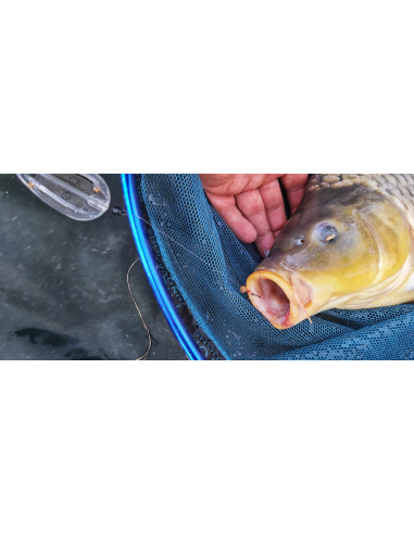 Haczyki Top Mix Feeder Circle nr.10 TOP MIX - 3