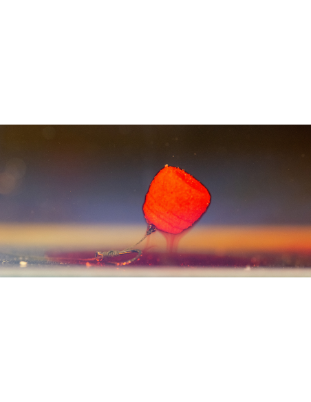 HALDORADO TORNADO Wafter Mango 12mm HALDORADO - 3