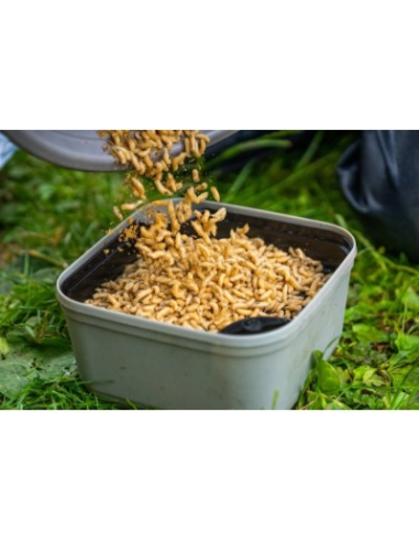 Wkładka do pudełka Guru Maggot Riddle - BLACK GURU - 3