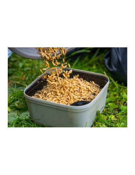 Wkładka do pudełka Guru Maggot Riddle - BLACK GURU - 3