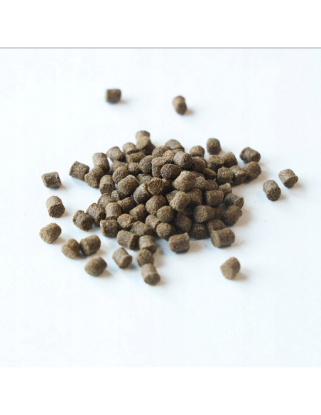 Pellet Aller Aqua Classic 6mm 1kg ALLER AQUA - 1