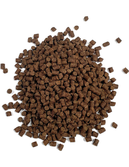 Pellet Aller Aqua Classic 4.5mm 1kg ALLER AQUA - 1