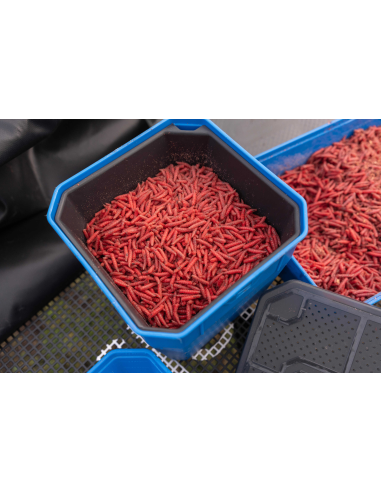 Pudełko Preston Bait Tub - 4 Pint / 2.3L PRESTON - 2