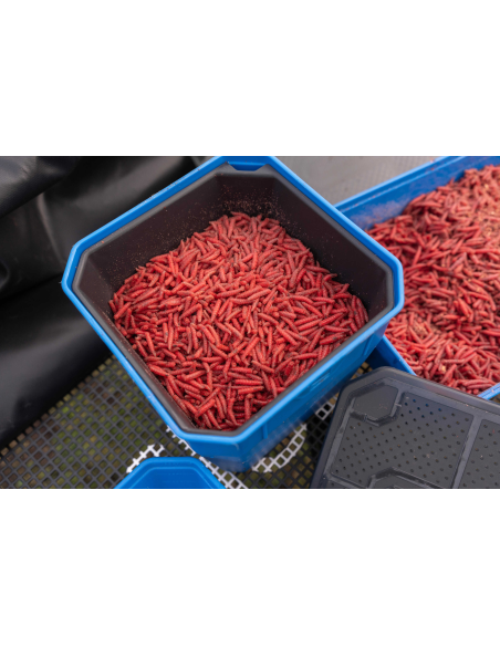 Pudełko Preston Bait Tub - 4 Pint / 2.3L PRESTON - 2