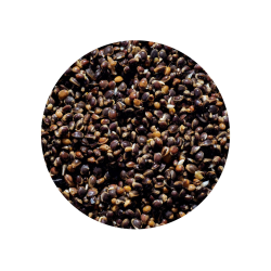 Ziarno Genlog 1L - Konopie Naturalne GENLOG - 1 2