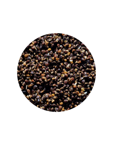 Ziarno Genlog 1L - Konopie Naturalne GENLOG - 2