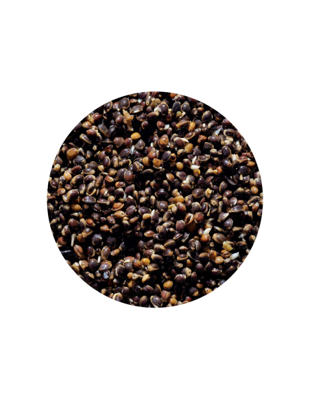 Ziarno Genlog 1L - Konopie Naturalne GENLOG - 2