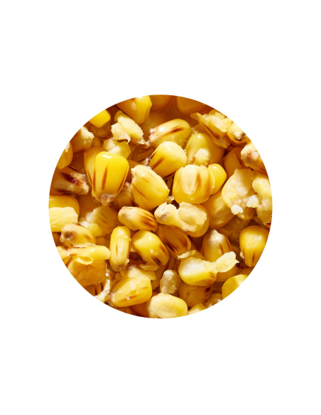 Gotowe Ziarno Genlog  - Kukurydza Scopex 1l GENLOG - 2