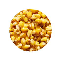 Ziarno GENLOG Cooked Seeds Kukurydza Naturalna 1L GENLOG - 1 2