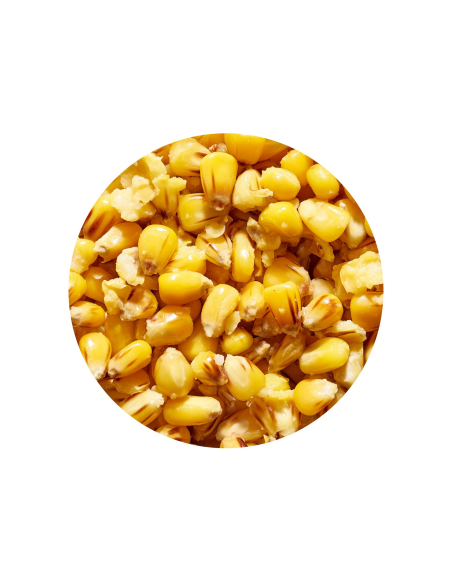 Ziarno GENLOG Cooked Seeds Kukurydza Naturalna 1L GENLOG - 2