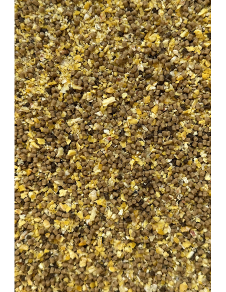 Zanęta Feeder Bait Club Series Method Mix 800g - Dynamic Corn Natural FEEDER BAIT - 2