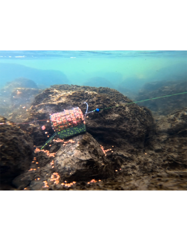 Delphin RiverSTIX Koszyczek 170g DELPHIN - 6