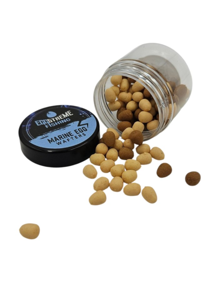 Eggstreme - Marine Egg Wafters EGGSTREME - 1