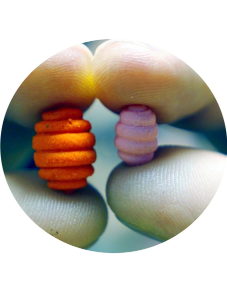 Osmo BIG Larwa Wafters Toxic OSMO - 4