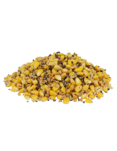 Mix 4 Rodzajów Gotowane Ziarno Robinson 800g ROBINSON - 2