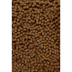 Feeder Bait Pellet 8mm - Orzech Tygrysi FEEDER BAIT - 1 2