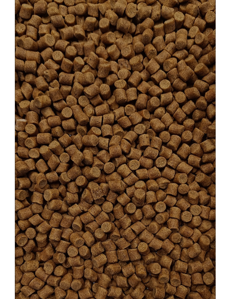 Feeder Bait Pellet 8mm - Orzech Tygrysi FEEDER BAIT - 2