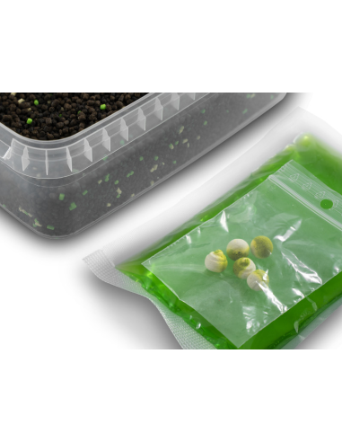 Pellet Box Delphin Reaxe Ready&Go Czosnek-Kwas Masłowy DELPHIN - 2