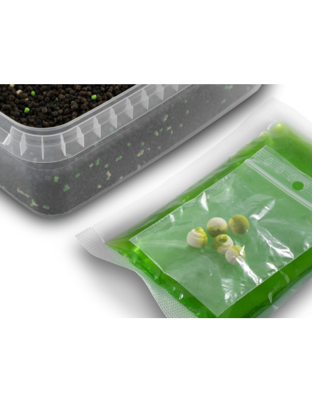 Pellet Box Delphin Reaxe Ready&Go Czosnek-Kwas Masłowy DELPHIN - 2