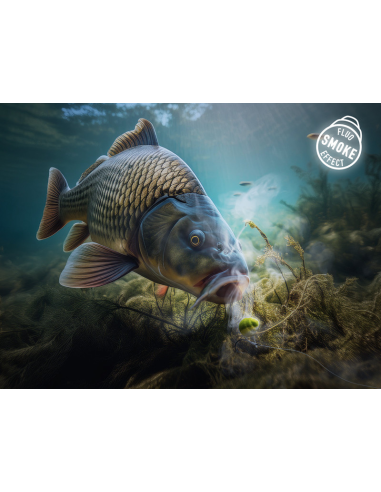 Przynęta Wafters Smoke D SNAX SHELL 10mm Mango - Brzoskwinia DELPHIN - 2
