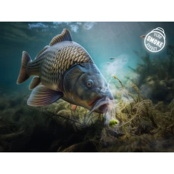 Przynęta Wafters Smoke  D SNAX SHELL 10mm Małże Przyprawy DELPHIN - 1 2