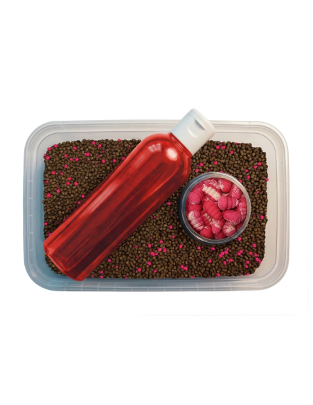 Feeder Bait Multipack 3w1 Pellet, Liquid, Waftersy - Truskawka FEEDER BAIT - 2