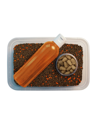 Feeder Bait Multipack 3w1 Pellet, Liquid, Waftersy - Orzech Tygrysi FEEDER BAIT - 2
