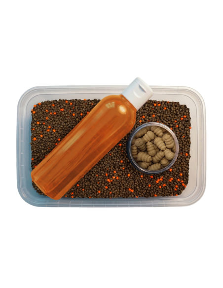 Feeder Bait Multipack 3w1 Pellet, Liquid, Waftersy - Orzech Tygrysi FEEDER BAIT - 2