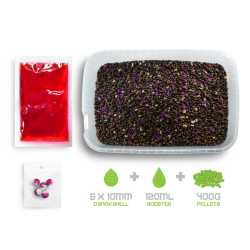 Pellet Box Delphin Reaxe Ready&Go Śliwka - Morwa 400g DELPHIN - 1 2