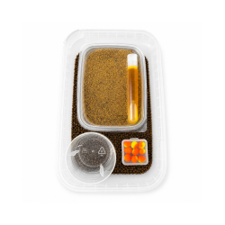 Eggstreme Osmo Pellet METHOD BOX START - Kraken EGGSTREME - 1 2