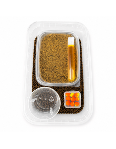 Eggstreme Osmo Pellet METHOD BOX START - Kraken EGGSTREME - 2