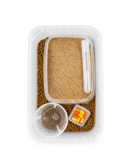 Eggstreme Osmo Pellet METHOD BOX START  - Turbo EGGSTREME - 2