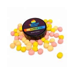 EGGSTREME EGG WAFTERS - BIG RAINBOW EGGSTREME - 1 2