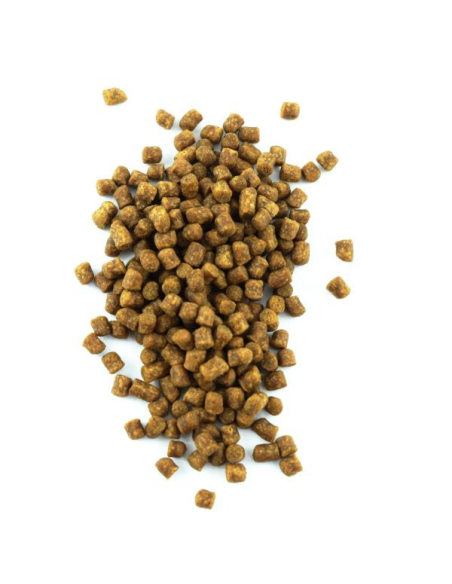 pellet 2mm skretting