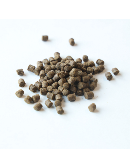 Pellet Aller Aqua Classic 3mm 1kg ALLER AQUA - 1