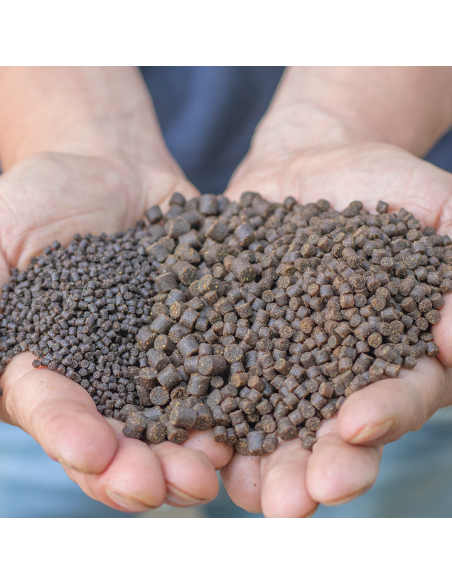 Pellet Skretting Optiline 6mm 1kg SKRETTING - 2