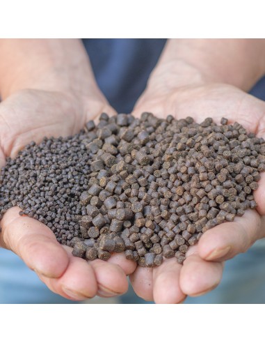 Pellet Skretting Optiline 4mm 1kg SKRETTING - 2