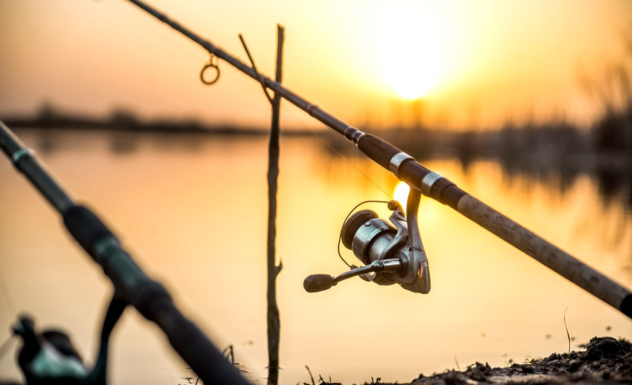 best reel line feeder fishing What reel for feeder will be the best?