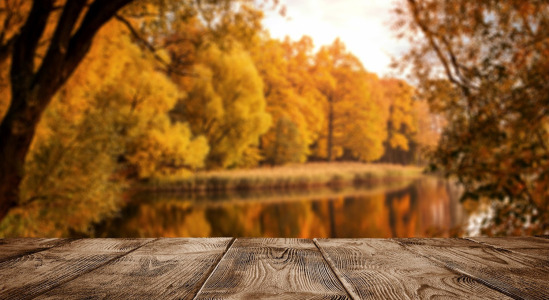 Odzież wędkarska na jesień – jak wybrać ciepłe ubrania na zasiadkę nad wodą? 