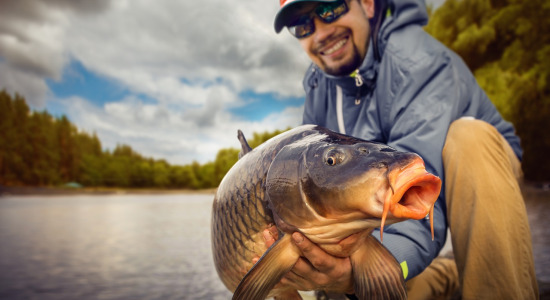 Zasady catch & release w wędkarstwie feederowym