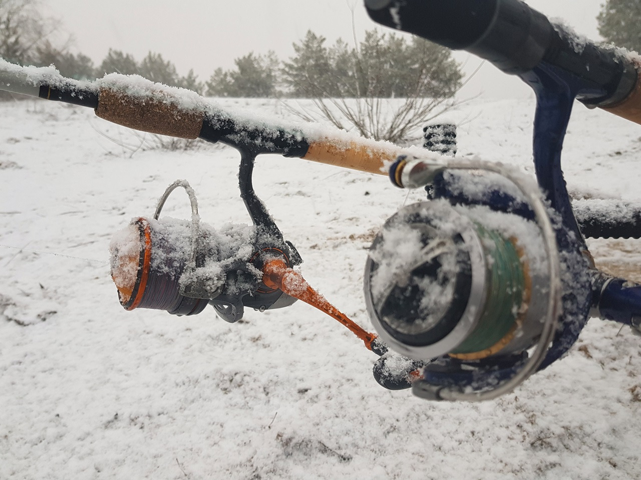 Wędkarstwo feederowe zimą – poradnik dla każdego wędkarza