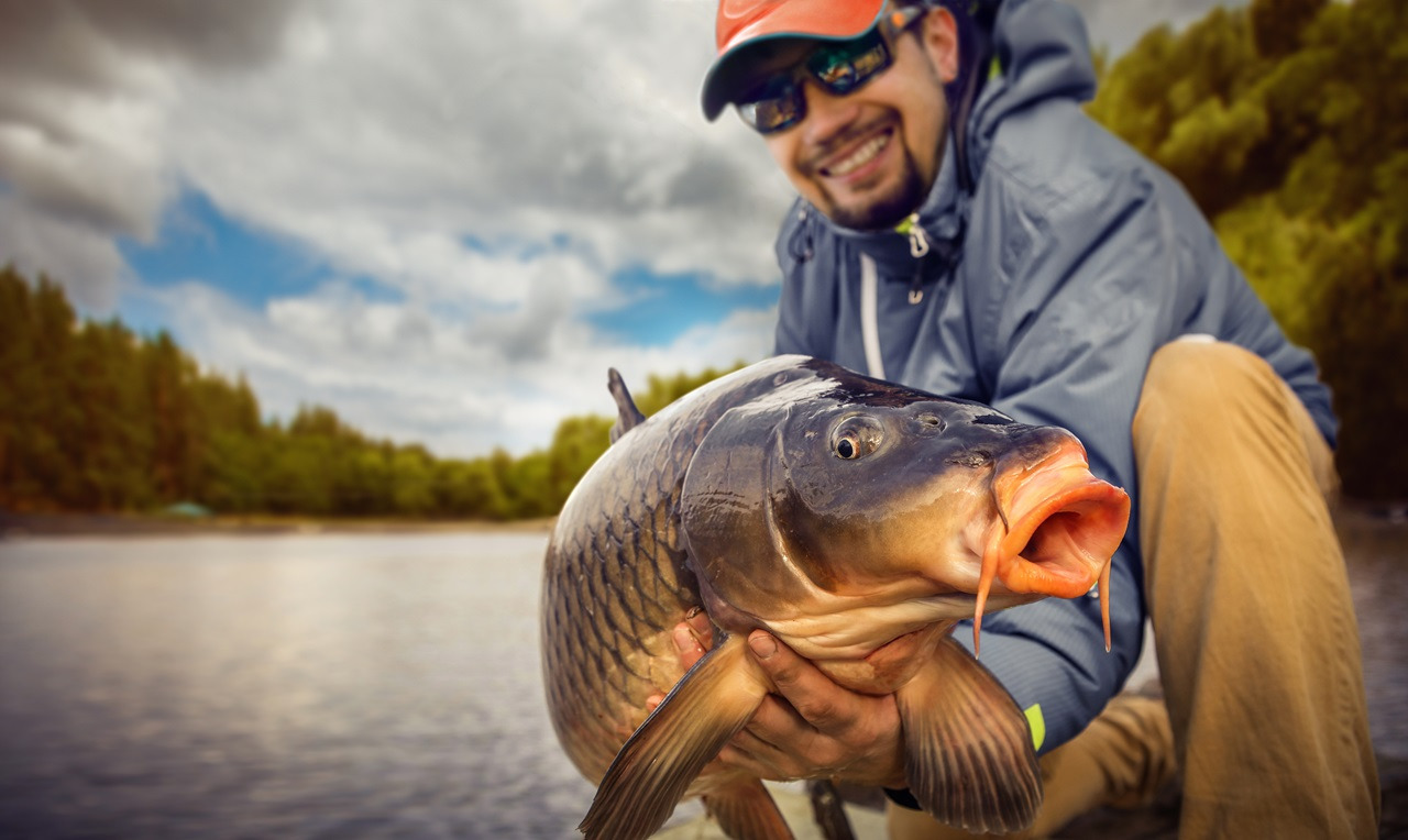 Zasady catch & release w wędkarstwie feederowym